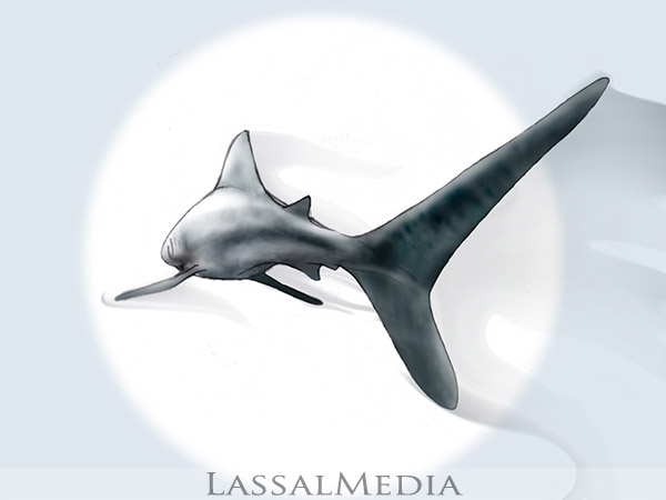 LassalMedia, Storyboard image for a HDTV campaign. 