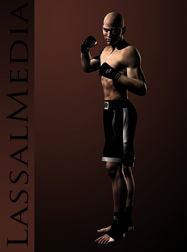 lassalmedia-martial arts
