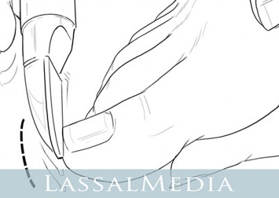 LassalMedia: Pencils for a Scholl Manual.